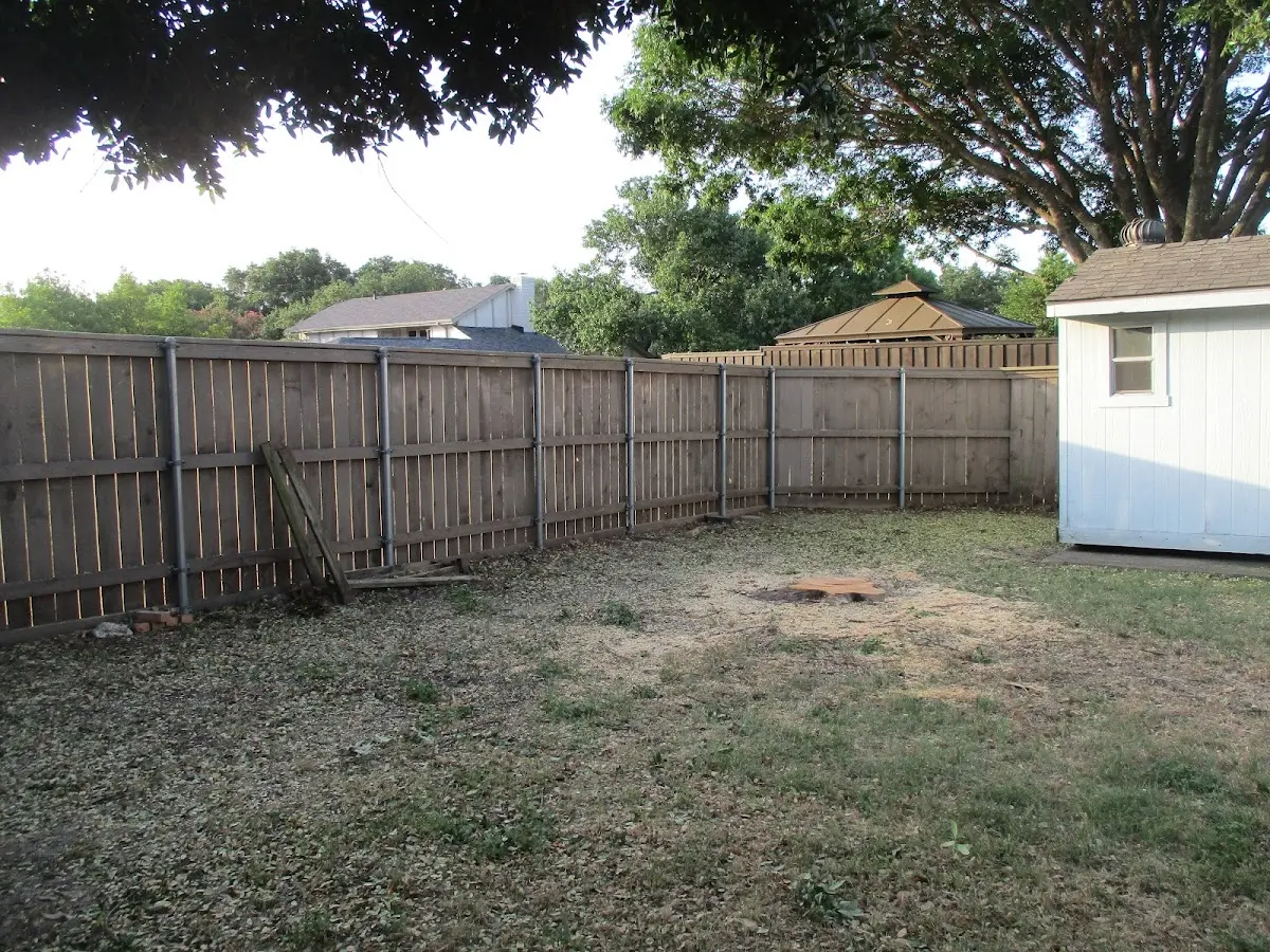 Cleared yard after professional tree removal in Fort Ann
